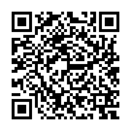 QR code for QI29225