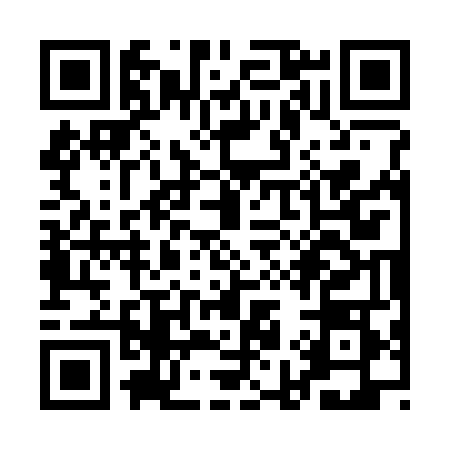 QR code for QI33481