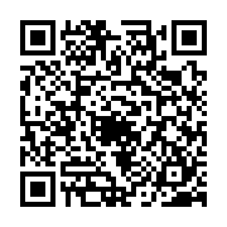 QR code for QI53247