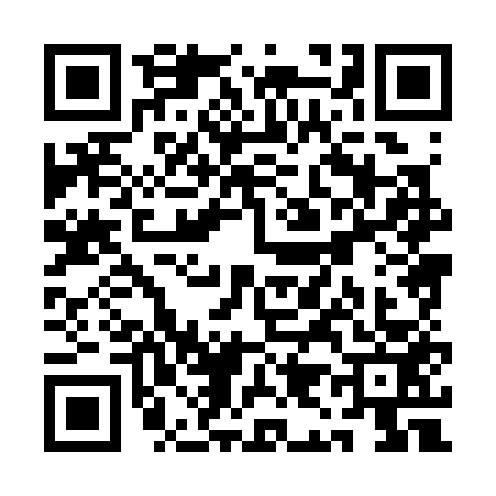 QR code for QI83538