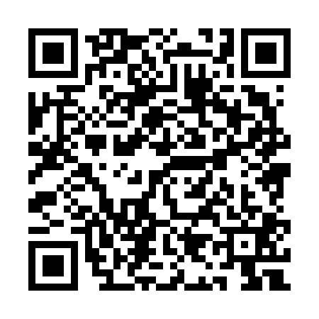 QR code for QI86013