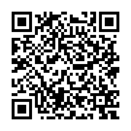 QR code for QI95371
