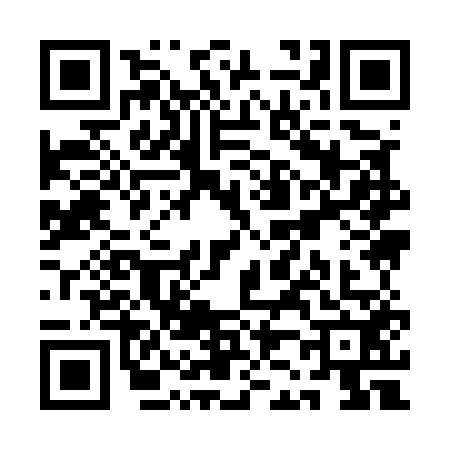 QR code for QJ95528