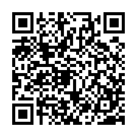 QR code for QJ95866