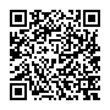 QR code for QL29795
