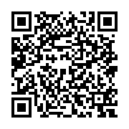 QR code for QL95119