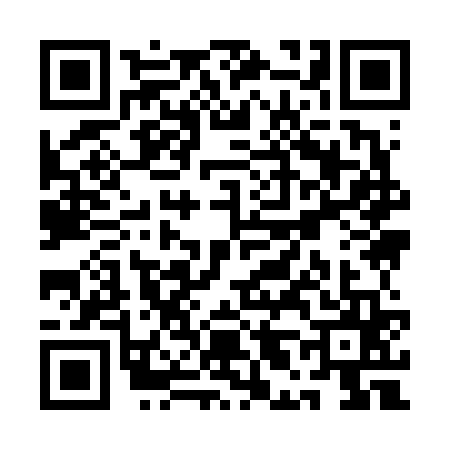 QR code for QL96651