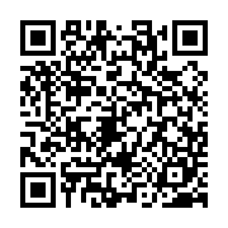 QR code for QM11453