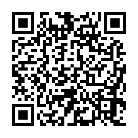 QR code for QM29728
