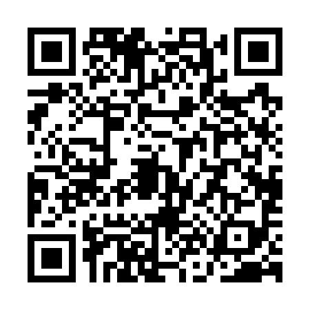 QR code for QN07991