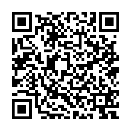QR code for QN11219