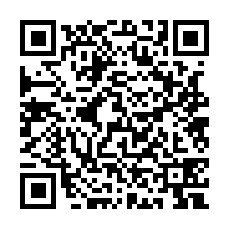 QR code for QN21381