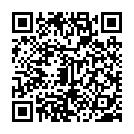 QR code for QN22398