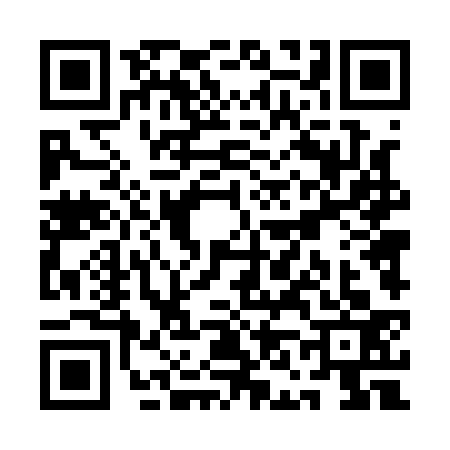 QR code for QN41335