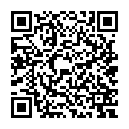 QR code for QN51236