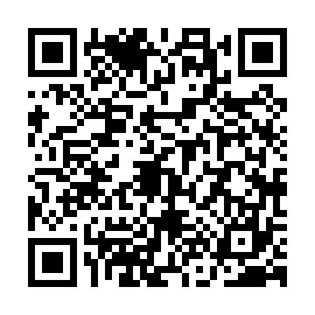 QR code for QN80771