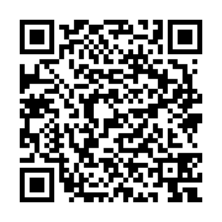 QR code for QN96380