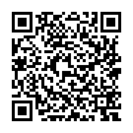 QR code for QN99597