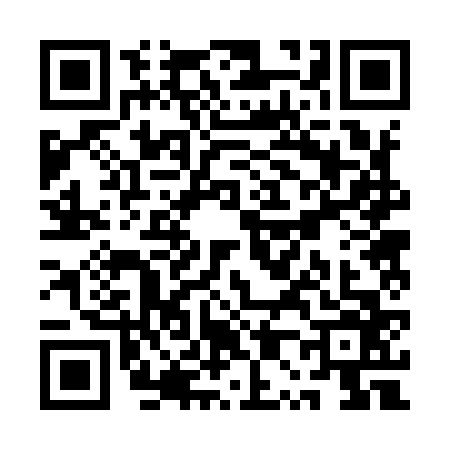QR code for QP29663