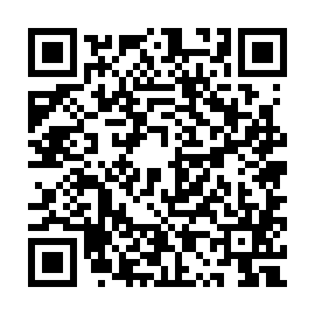 QR code for QP53851