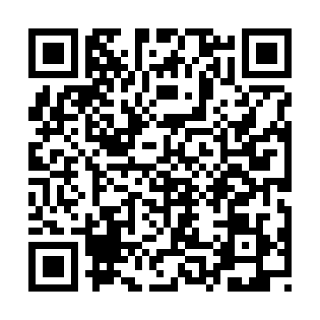 QR code for QP87295
