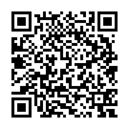 QR code for QR06313
