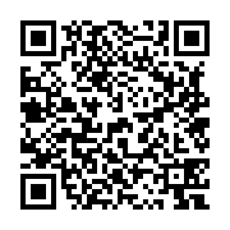 QR code for QR78384