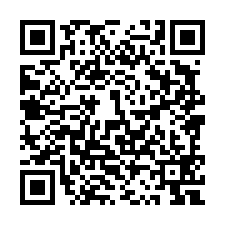 QR code for QR84993
