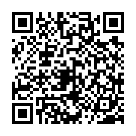 QR code for QS86613