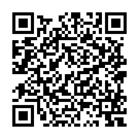 QR code for QS95856