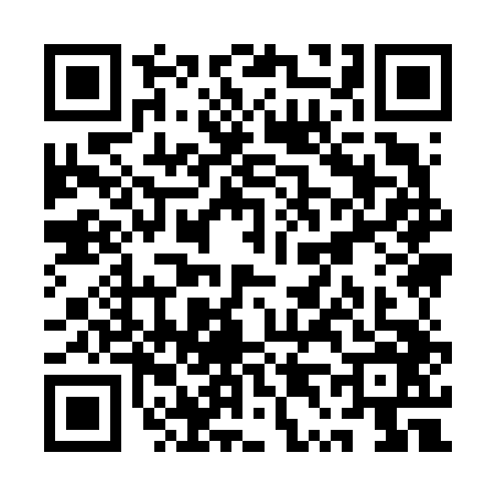 QR code for QT96463