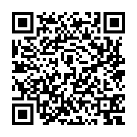 QR code for QV19307