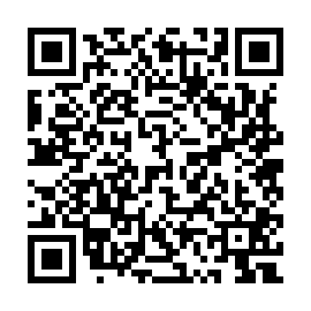 QR code for QV29017