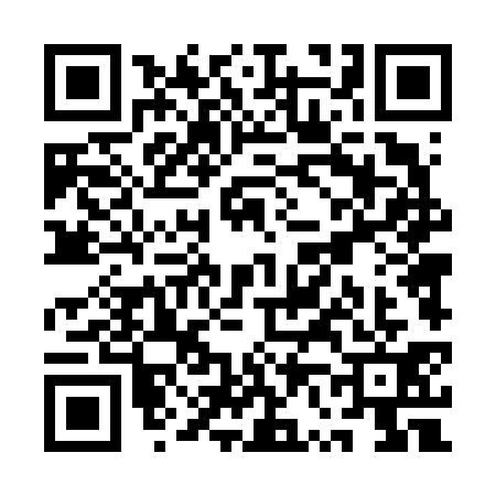 QR code for QV46313