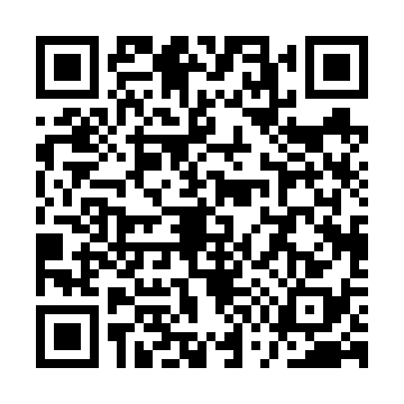 QR code for QW06385