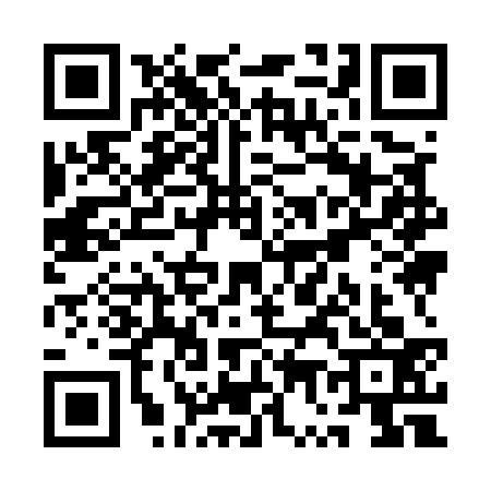 QR code for QW95338