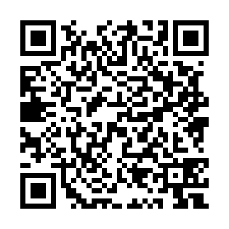 QR code for QY85383