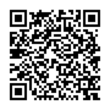 QR code for QZ06368