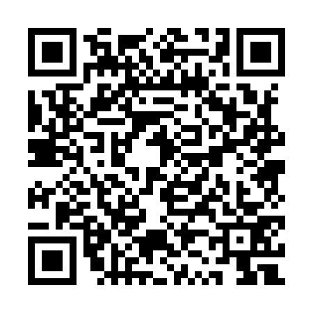 QR code for QZ09733