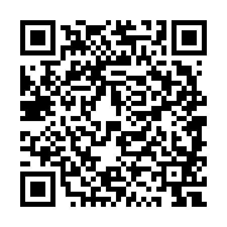 QR code for QZ46833
