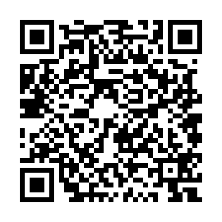 QR code for QZ65194