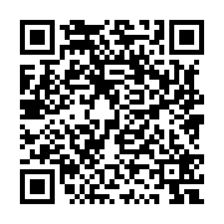 QR code for QZ88295