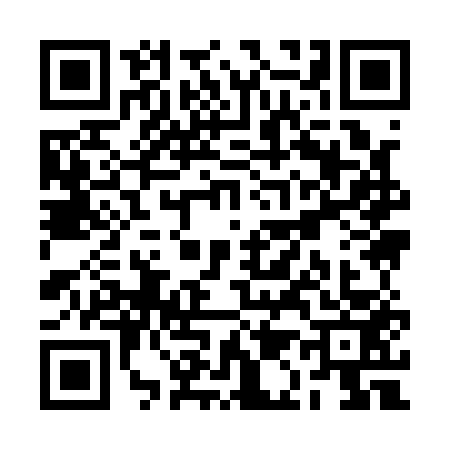 QR code for RA91533