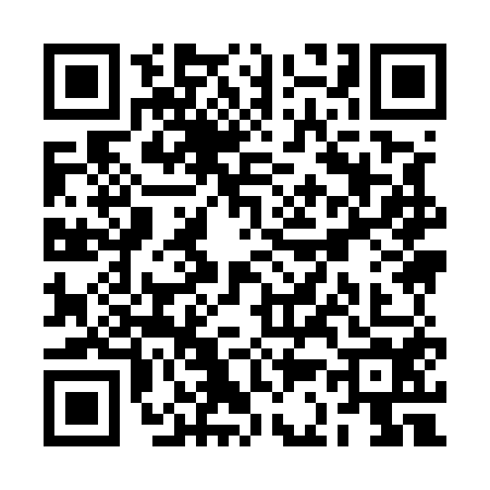 QR code for RC95541