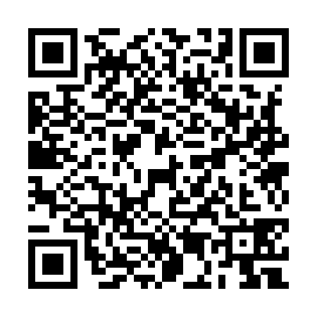 QR code for RE39384