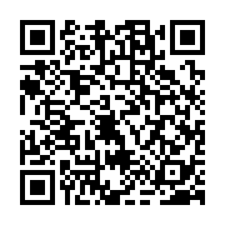 QR code for RF13382