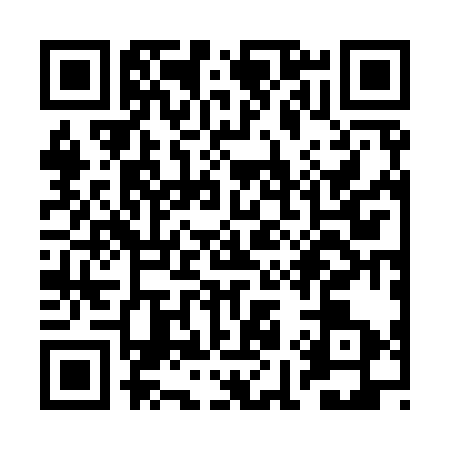 QR code for RI29335