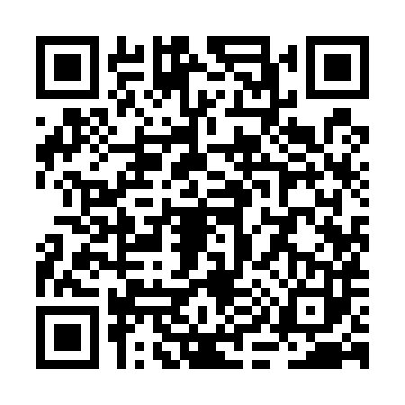 QR code for RI95838