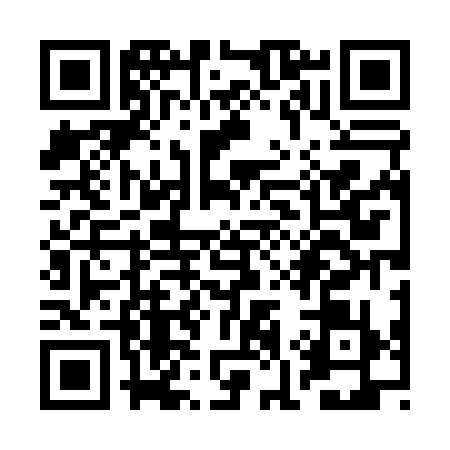 QR code for RK40390