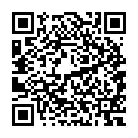 QR code for RL62919